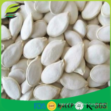 snow white pumpkin seeds